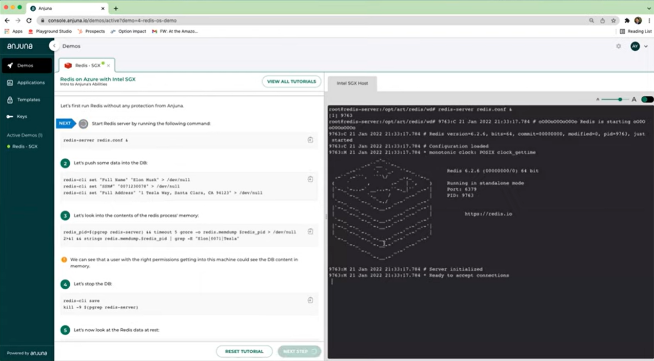 screenshot of Anjuna Seaglass